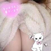 ヒメ日記 2026/03/28 17:00 投稿 さゆ モアグループ小山人妻花壇