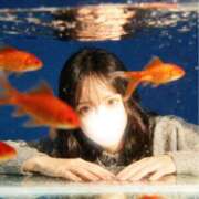 ヒメ日記 2026/02/12 10:51 投稿 ゆゆ☆ 粋美　suibi