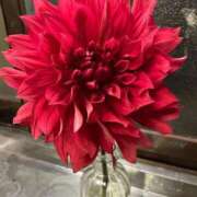 ヒメ日記 2026/03/02 12:30 投稿 むつみ 熟女の風俗最終章 町田店