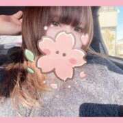 ヒメ日記 2026/01/29 19:23 投稿 さくらこ ふわふわコレクション