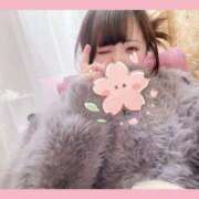 ヒメ日記 2026/02/17 16:20 投稿 さくらこ ふわふわコレクション