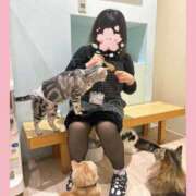 ヒメ日記 2026/03/03 17:54 投稿 さくらこ ふわふわコレクション