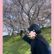 ヒメ日記 2026/03/10 13:34 投稿 さくらこ ふわふわコレクション