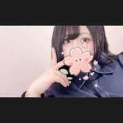 ヒメ日記 2026/04/24 14:14 投稿 さくらこ ふわふわコレクション