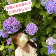 ヒメ日記 2026/07/13 21:30 投稿 ここね イキなり生彼女from大宮