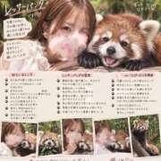 ヒメ日記 2026/10/01 12:27 投稿 ここね イキなり生彼女from大宮