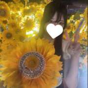 ヒメ日記 2026/02/21 12:05 投稿 あいな JAPAN CLUB BUNNY LOUNGE