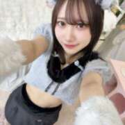 ヒメ日記 2026/01/25 15:11 投稿 パルム E+アイドルスクール　大阪・日本橋店