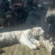 ヒメ日記 2026/02/03 09:39 投稿 れもん 白いぽっちゃりさん五反田店