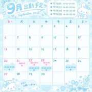 ヒメ日記 2026/09/08 18:12 投稿 れもん 白いぽっちゃりさん五反田店