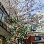 ヒメ日記 2026/04/01 22:14 投稿 らいか ルーブル