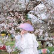 ヒメ日記 2026/04/11 12:24 投稿 らいか ルーブル