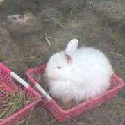 ヒメ日記 2026/04/11 20:04 投稿 らいか ルーブル