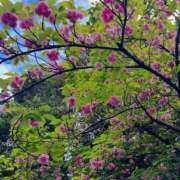 ヒメ日記 2026/04/15 21:14 投稿 らいか ルーブル