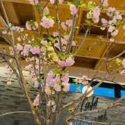 ヒメ日記 2026/04/16 20:12 投稿 らいか ルーブル