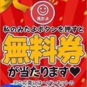 ヒメ日記 2026/02/07 13:18 投稿 せつな 京都BOOK MARK（ブックマーク）