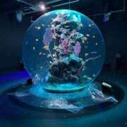 せつな 出勤です✌️🥹 京都BOOK MARK（ブックマーク）