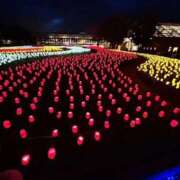 まこ お礼♪ 即アポ奥さん ～津・松阪店～