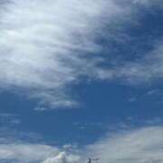 ヒメ日記 2026/03/26 11:44 投稿 まこ 即アポ奥さん ～津・松阪店～