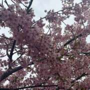 ヒメ日記 2026/03/26 18:54 投稿 まこ 即アポ奥さん ～津・松阪店～