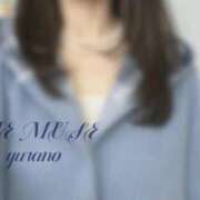 Yurano 🌿３月‪𓂃 𓈒𓏸◌‬ THE MUSE