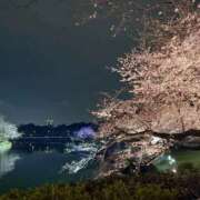 ヒメ日記 2026/03/30 16:44 投稿 Yurano THE MUSE