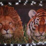 ヒメ日記 2026/03/16 21:27 投稿 みずほ 出逢い