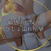 ヒメ日記 2026/01/31 10:10 投稿 桜花はるひ ゴールドクイーン