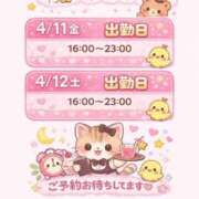 ヒメ日記 2026/04/07 21:08 投稿 みあ 京都BOOK MARK（ブックマーク）