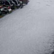 せいか 晴れ 性腺熟女100％（デリヘル市場）