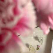 ヒメ日記 2026/04/12 11:45 投稿 ゆの 池袋コスプレサンシャイン（シンデレラグループ）