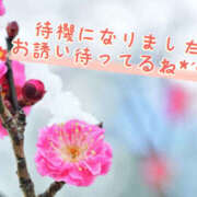 ヒメ日記 2026/01/25 15:39 投稿 ひなた モアグループ宇都宮人妻花壇