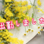 ヒメ日記 2026/02/04 10:43 投稿 ひなた モアグループ宇都宮人妻花壇