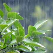 ヒメ日記 2026/03/04 05:14 投稿 ひなた モアグループ宇都宮人妻花壇