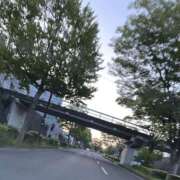 ヒメ日記 2026/05/11 05:55 投稿 ひなた モアグループ宇都宮人妻花壇