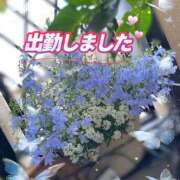 ヒメ日記 2026/07/25 12:47 投稿 ひなた モアグループ宇都宮人妻花壇