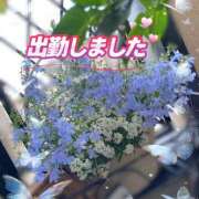 ヒメ日記 2026/07/29 11:24 投稿 ひなた モアグループ宇都宮人妻花壇