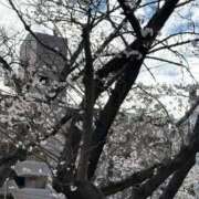 あゆみ 出勤しました！ 三重四日市ちゃんこ