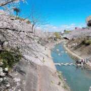 ヒメ日記 2026/04/07 17:01 投稿 あゆみ 三重四日市ちゃんこ