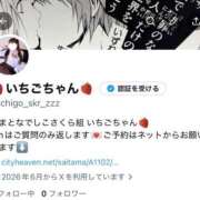 ヒメ日記 2026/06/17 13:28 投稿 いちご・SP やまとなでしこ桜組