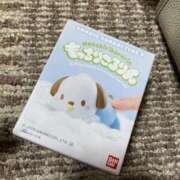 ヒメ日記 2026/02/22 13:23 投稿 ユウ【体験入店】 川崎美女革命