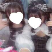 ヒメ日記 2026/02/05 11:13 投稿 サクラ【体験入店】 川崎美女革命