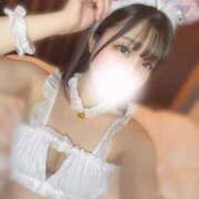 ヒメ日記 2026/02/07 15:13 投稿 サクラ【体験入店】 川崎美女革命