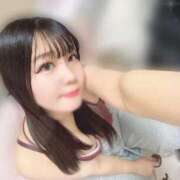 ヒメ日記 2026/02/08 16:53 投稿 サクラ【体験入店】 川崎美女革命