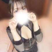 ヒメ日記 2026/02/14 11:21 投稿 サクラ【体験入店】 川崎美女革命