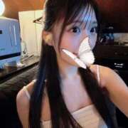 ヒメ日記 2026/02/24 07:33 投稿 ニノ【体験入店】 川崎美女革命