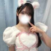 ヒメ日記 2026/02/19 19:33 投稿 ユナ【体験入店】 川崎美女革命