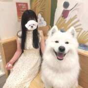 ヒメ日記 2026/02/22 18:44 投稿 ユナ【体験入店】 川崎美女革命