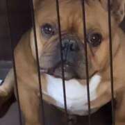 ヒメ日記 2026/02/05 22:30 投稿 めい☆電撃走る可愛さ☆ アネキャンモード