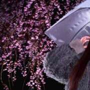 ヒメ日記 2026/03/26 21:15 投稿 めい☆電撃走る可愛さ☆ アネキャンモード